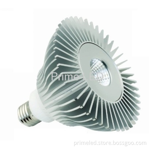 15w Par38 Led Lamp, Sharp Led